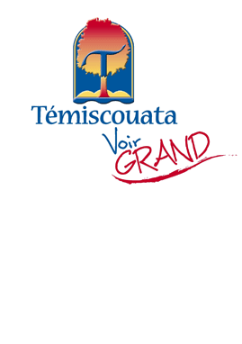 Voir Grand