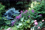 Sentier jardin zen
