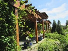 jardin écluse-pergola