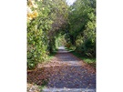 Auberge de la Gare - Trail