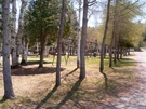 Playground - Camping municipal d'Eau Claire