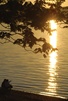 coucher de soleil sur le lac