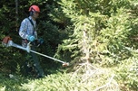 Travailleur forestier