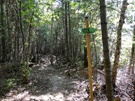sentier de la halte lacustre