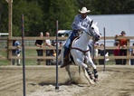 Degelis Western Festival