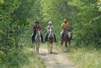 chevaux