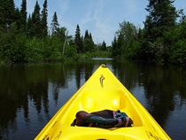 Kayak