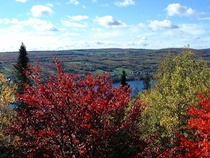 Autumn scene