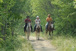 chevaux