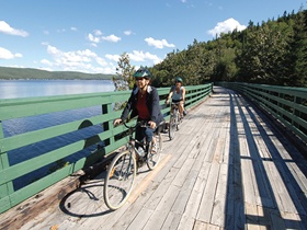 Passerelles sur Le Petit T&eacute;mis