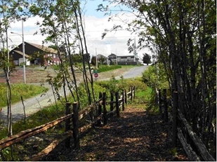 Sentier pédestre de St-Eusèbe