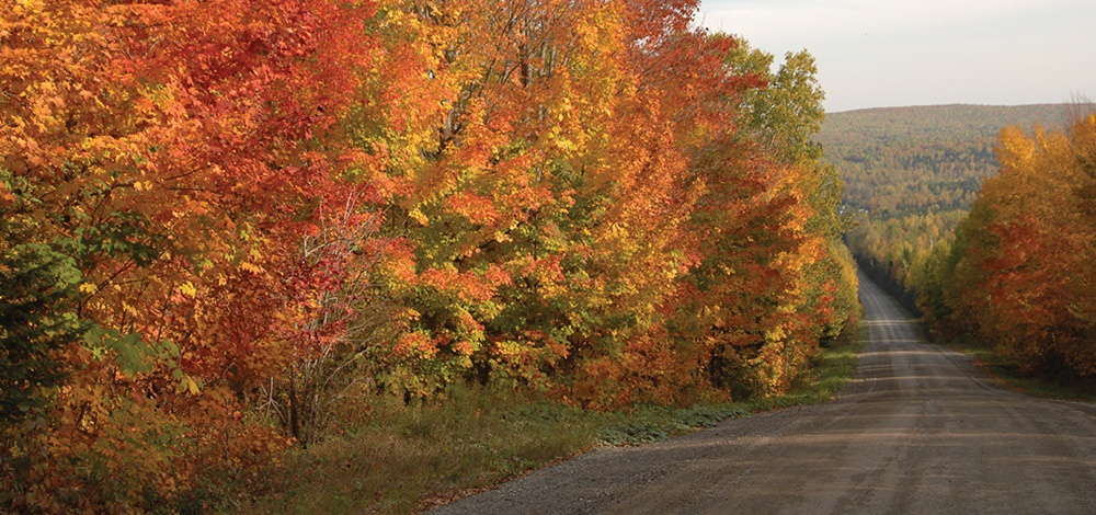 Paysage route