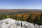 mont thompson