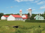 St-Louis du Ha-!-Ha-! - ferme