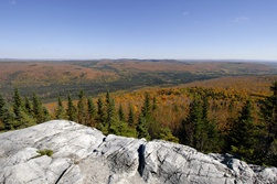 mont thompson