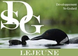 Logo Développement St-Godard
