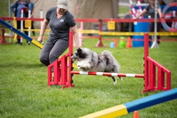 coursecanin