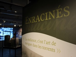 Musée du Témiscouata : Exposition Enracinés