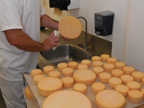 Lavage des fromages, Notre-Dame-du-Lac.