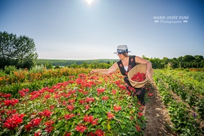 ViV-Herbes - Herboristerie