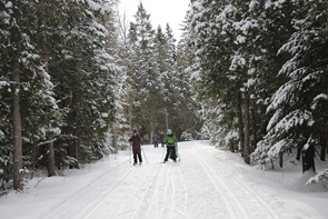 Club de ski de fond et raquette Pleins Poumons