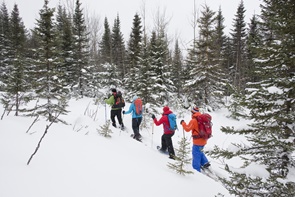 Parc national du Lac-Témiscouata