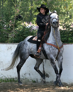 festival honequestre