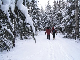 Sentier de raquette de Saint-Louis-du-Ha! Ha!