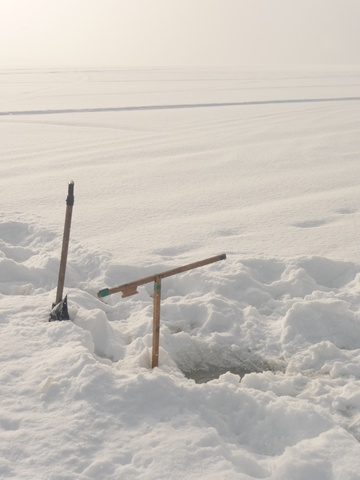 Éco-Site-pêche blanche
