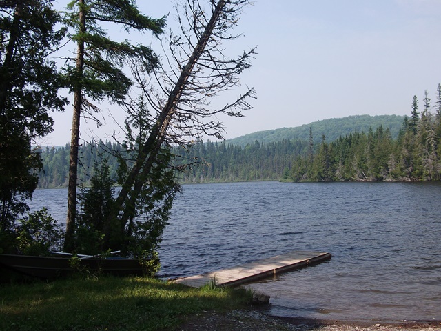 ZEC Owen-1