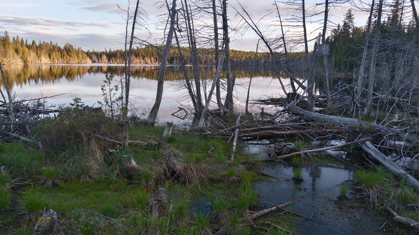 lac canards