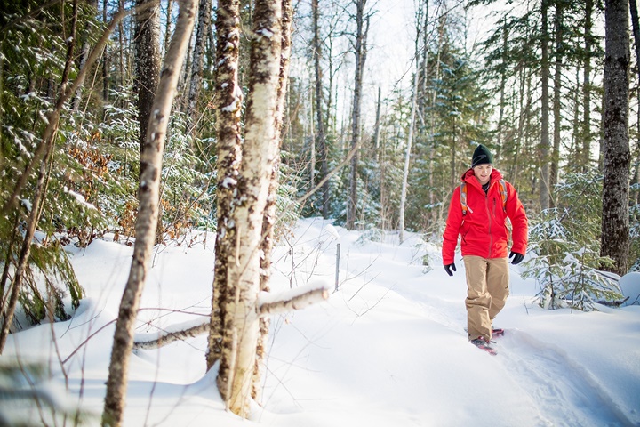 snowshoes 2018