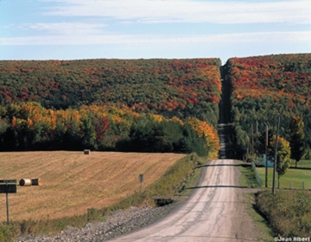 Domaine Acer - Érablière