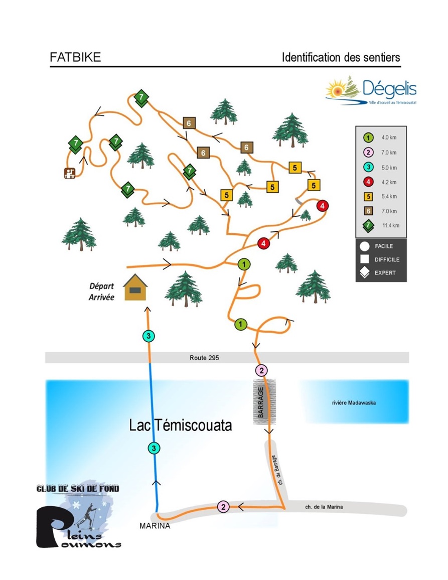 Les lieux de sport en plein air (5/5): Aux Pâquis, la callisthénie