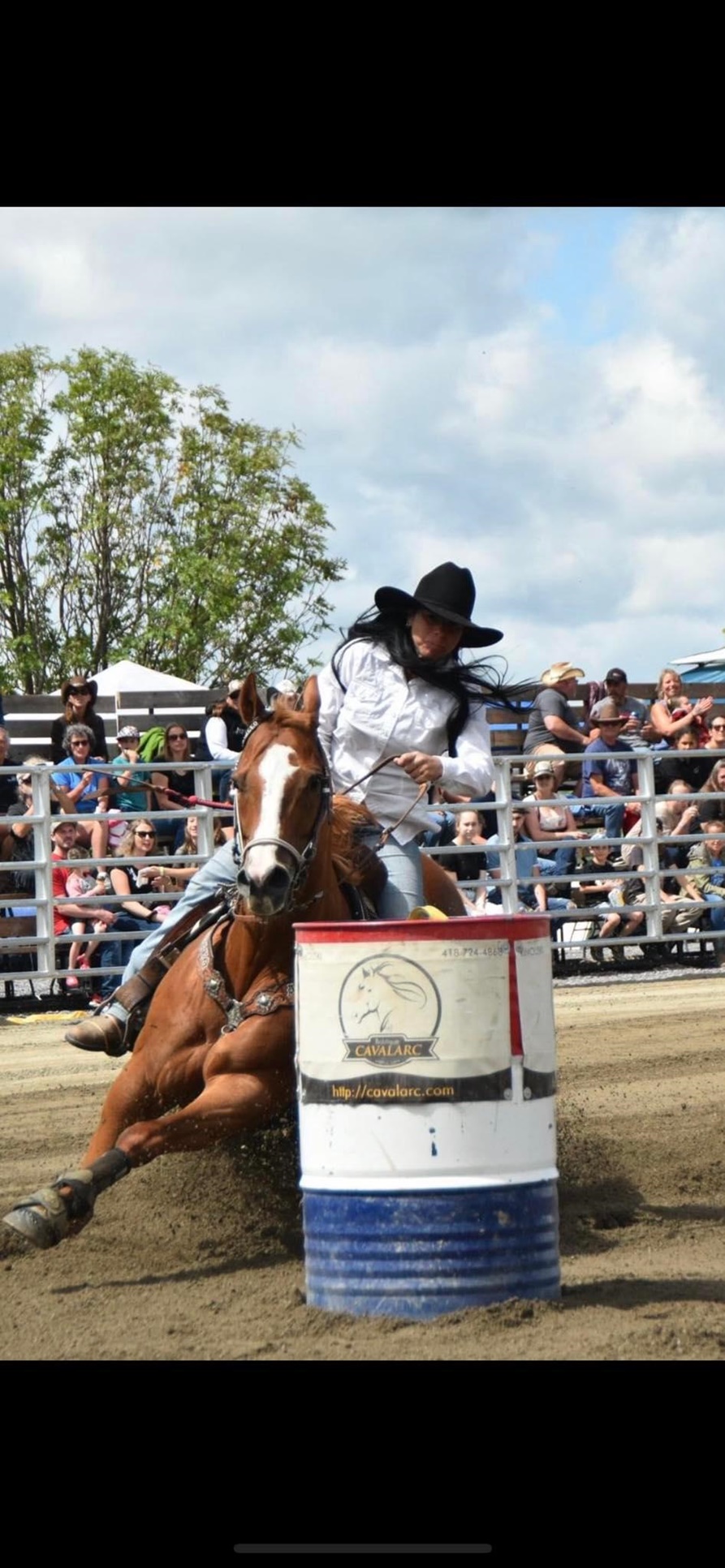 Festival Honéquestre de StHonoré Événements Vacances et forfaits